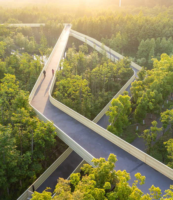 Revolutionary Sponge City Concept Can Solve Water Problems Instead Of Creating Them Revolutionary Sponge City Concept Can Solve Water Problems Instead Of Creating Them