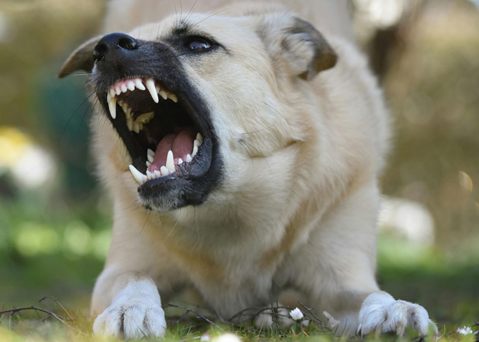 "What Disgusting Advice Ended Up Being Actually Helpful?" (25 Answers)