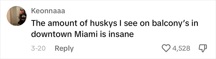 Woman Believes People Should Pick Dogs Accordingly To Their Lifestyle, Stirs Up A Debate