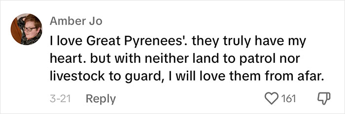 Woman Believes People Should Pick Dogs Accordingly To Their Lifestyle, Stirs Up A Debate