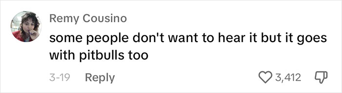 Woman Believes People Should Pick Dogs Accordingly To Their Lifestyle, Stirs Up A Debate