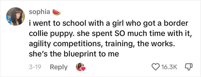 Woman Believes People Should Pick Dogs Accordingly To Their Lifestyle, Stirs Up A Debate