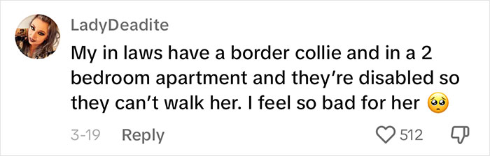 Woman Believes People Should Pick Dogs Accordingly To Their Lifestyle, Stirs Up A Debate