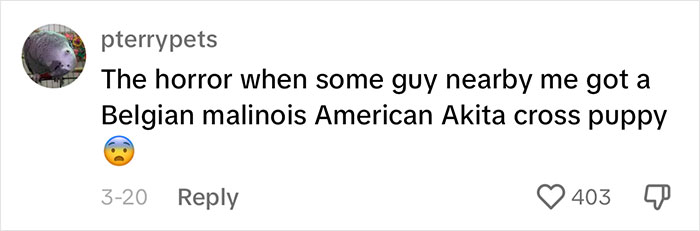 Woman Believes People Should Pick Dogs Accordingly To Their Lifestyle, Stirs Up A Debate