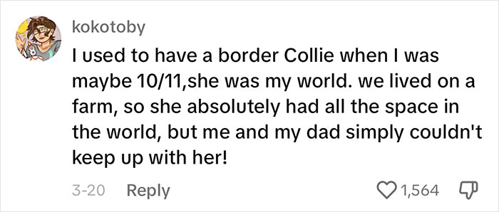 Woman Believes People Should Pick Dogs Accordingly To Their Lifestyle, Stirs Up A Debate