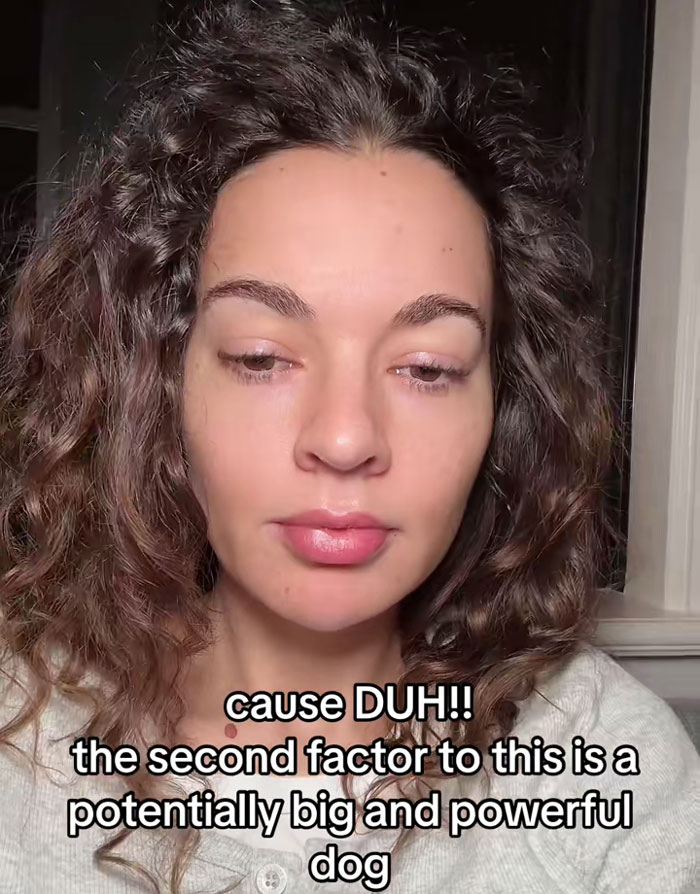 Woman Believes People Should Pick Dogs Accordingly To Their Lifestyle, Stirs Up A Debate