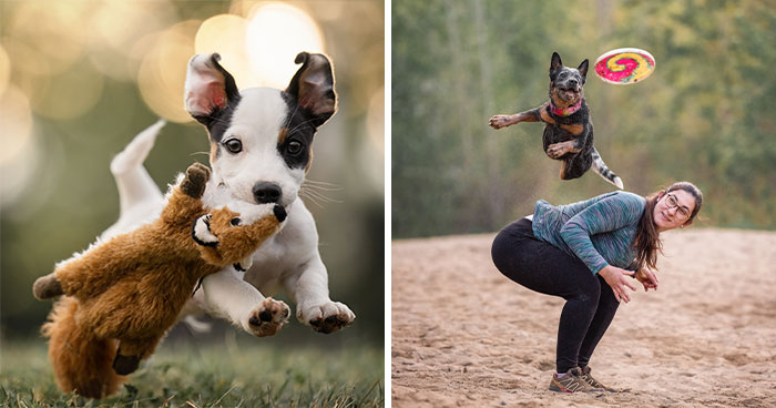 I Captured Dogs On The Run, And The Results Are The Most Adorable Faces Of Joy (12 Pics)