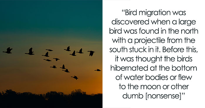 “Student Licked His Finger”: 28 Things That Were Discovered By Accident And Ended Up Being Useful