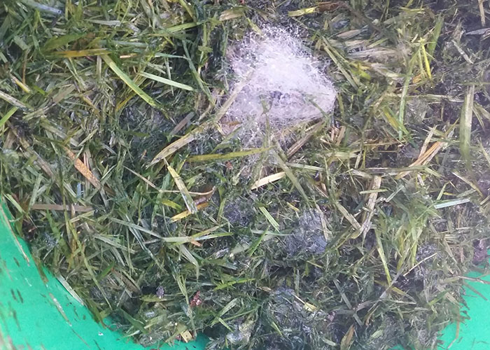 45 Times Dumb Customers Really Pushed Retail Workers To The Limit With Their Questions