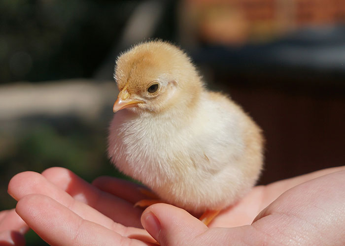 45 Times Dumb Customers Really Pushed Retail Workers To The Limit With Their Questions