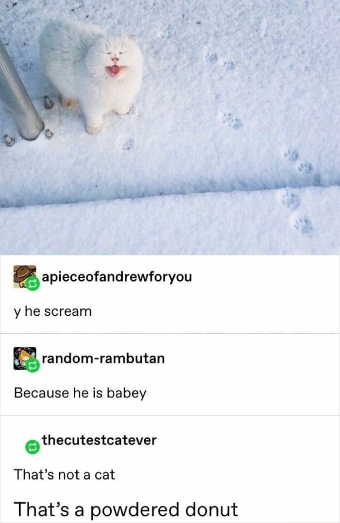 Epic-Texts-Random-Memes