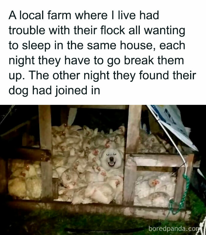 Epic-Texts-Random-Memes