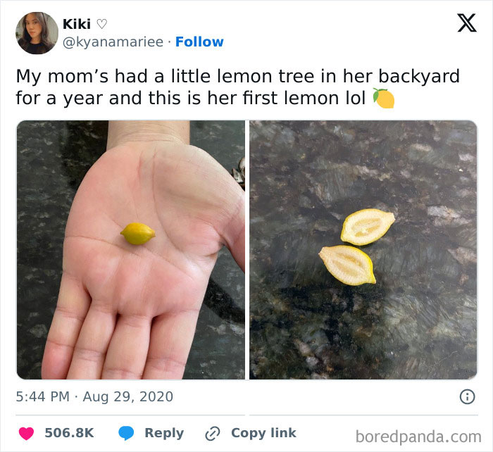 Epic-Texts-Random-Memes