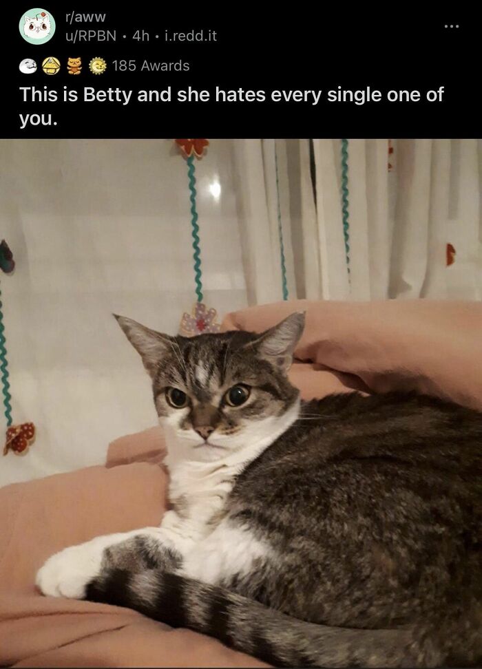 Epic-Texts-Random-Memes