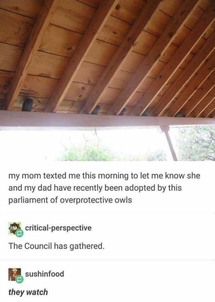 Epic-Texts-Random-Memes