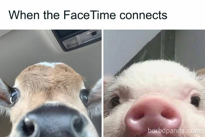 Epic-Texts-Random-Memes