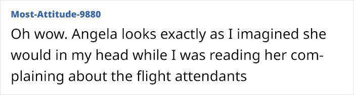 Woman’s “Witch Hunt” To Get Delta Flight Attendant Fired Shut Down By Fellow Passengers - 5