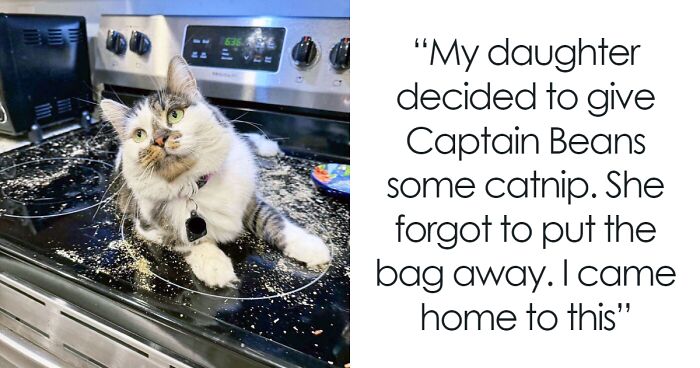 50 Times People Forgot Something And Ended Up In Hilariously Unfortunate Situations (New Pics)