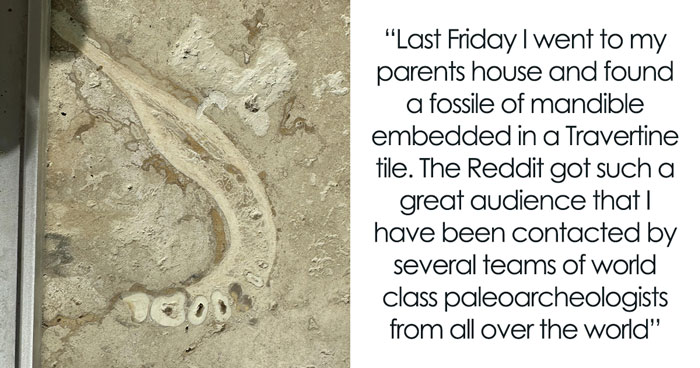 People Wanted A Travertine Floor, Get Surprised By The Human Jawbone That Came With It