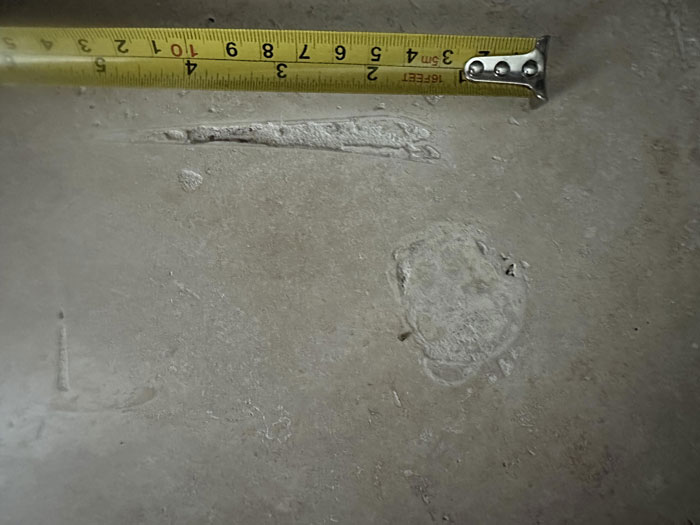 People Wanted A Travertine Floor, Get Surprised By The Human Jawbone That Came With It