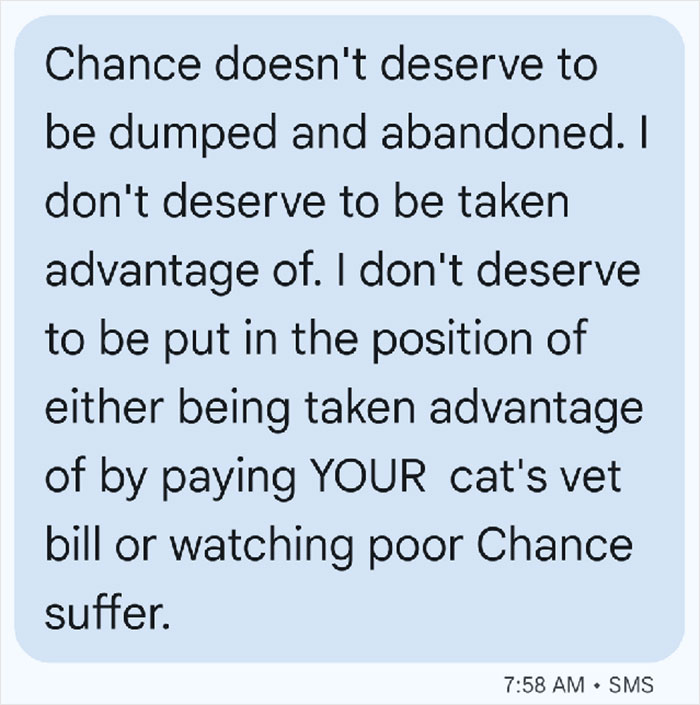 Guy Asks A Friend To Watch His Sick Cat For A While, Starts Ignoring Texts Asking Him To Take It Back