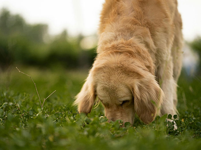 “I Laughed So Hard I Couldn’t Breathe”: The 40 Funniest Things Folks Have Heard In Public - 20