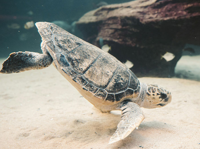 “I Laughed So Hard I Couldn’t Breathe”: The 40 Funniest Things Folks Have Heard In Public - 24