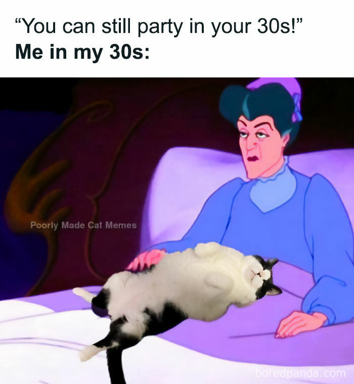 Funny-Cat-Jokes-Memes