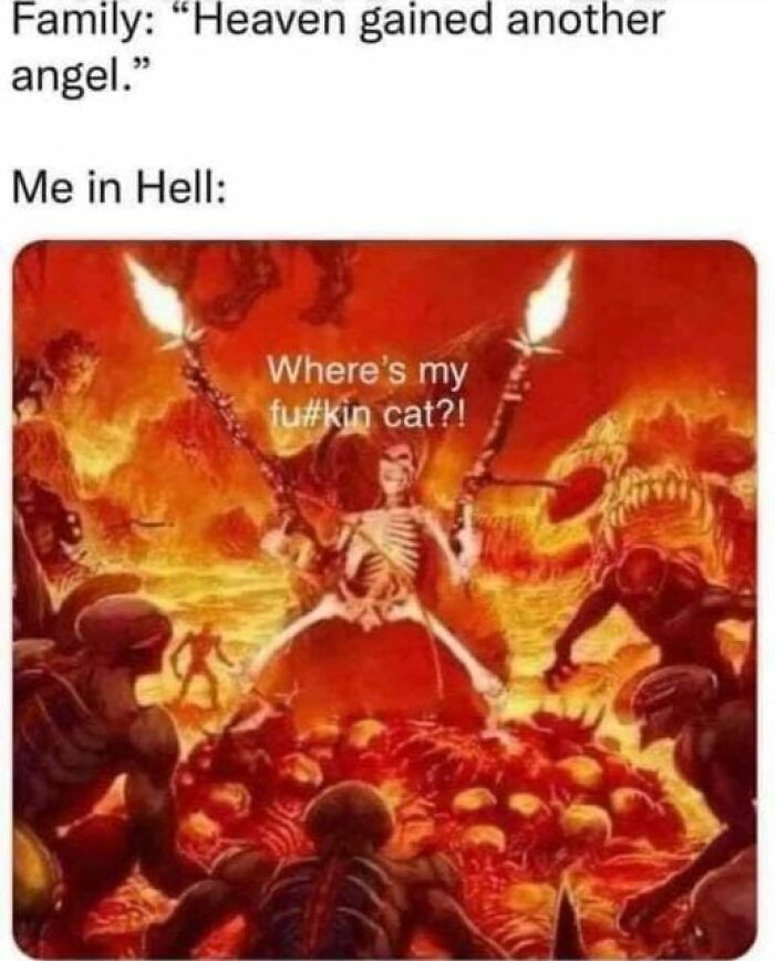 Funny-Cat-Jokes-Memes