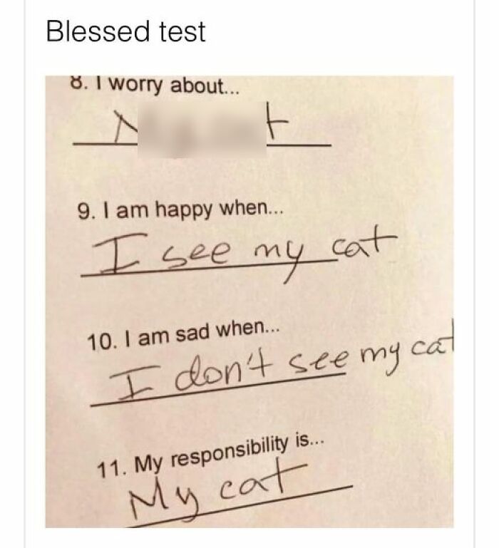 Funny-Cat-Jokes-Memes