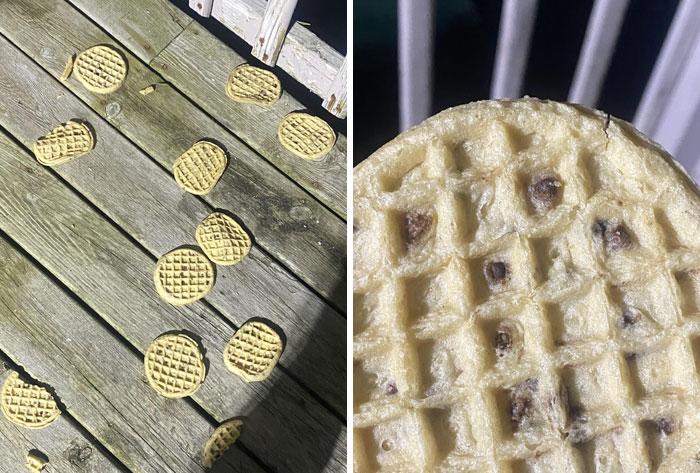 Waffles scattered on a wooden deck and a close-up of an undercooked waffle with visible batter spots showing clueless people.