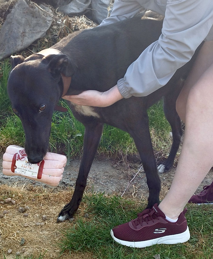 Stole Sausages While Cooking A BBQ