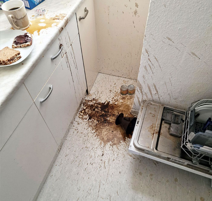 Just Wanted A Coffee. Now I Have To Paint My Wall