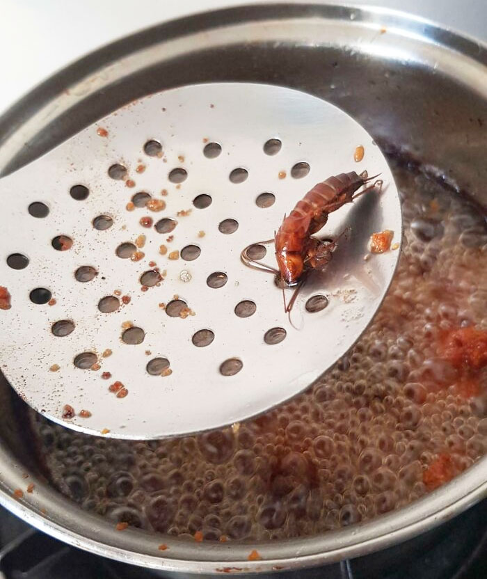 Saw A Weird-Looking "Chicken Piece" And Took A Closer Look