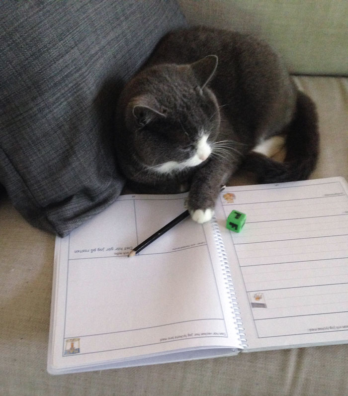 Escribí a mi hijo de 8 años para ver cómo iba con los deberes y me respondió con esto