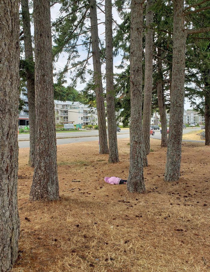 Estábamos jugando al escondite