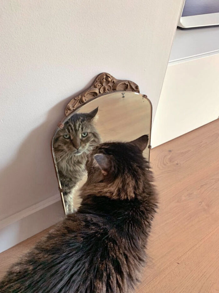 Found On Facebook Marketplace