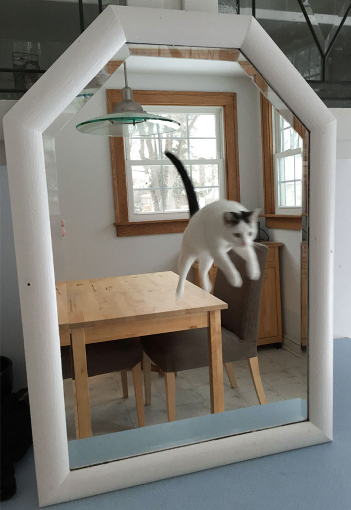 I Was Taking A Picture Of A Mirror To Sell It