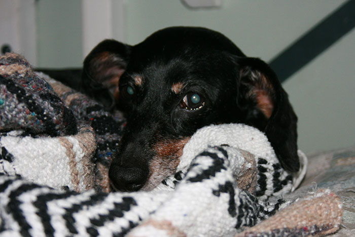 Someone Asks People To Share The Grossest Thing Their Partner Does, And 30 Don't Hold Back - 10