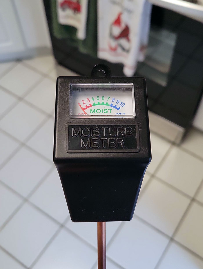 I've Finally Found A Way To See When My Girlfriend Is Ready