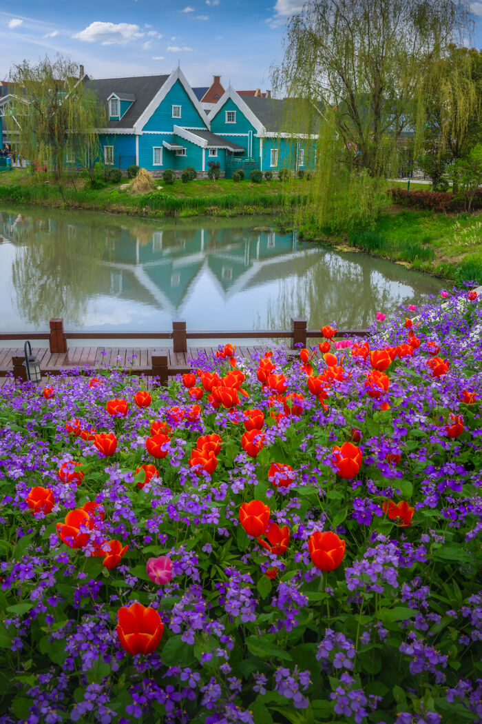 Dutch Traditional Houses