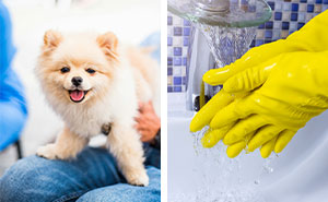 How To Remove Pet Hair from Clothes: Expert Guide