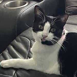 552f9f6a40f49 avatar