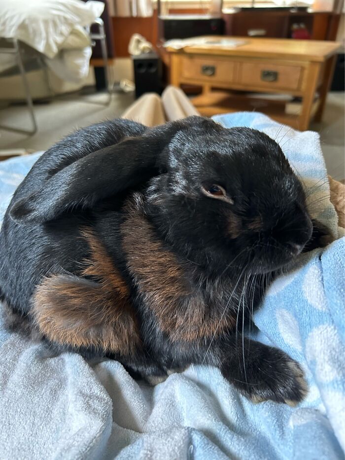 Ernie Having A Cuddle