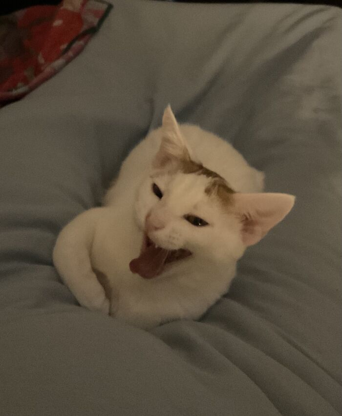 Buzzsaw Thinks Your Joke Was Hilarious