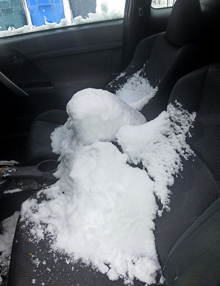 My Husband Left The Sunroof Open Last Night