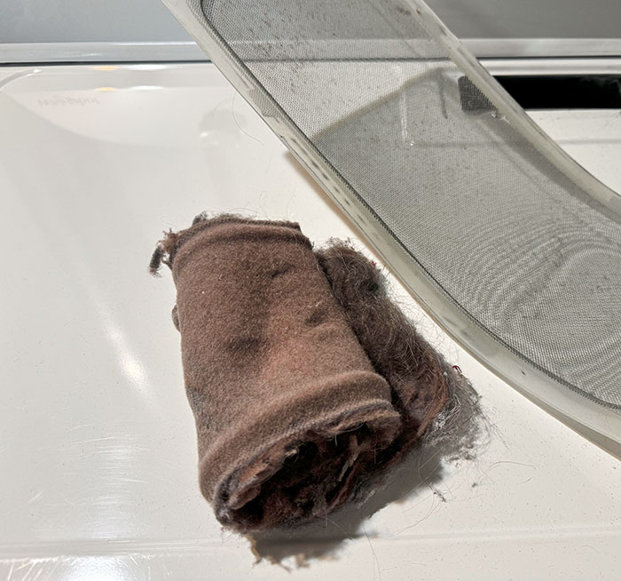 My Wife: "I Always Check The Lint Trap." Every Time I Check The Lint Trap, I Find It Like This