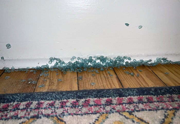 Mi novia tira sus lentillas desechables cada día tras el cabecero de la cama