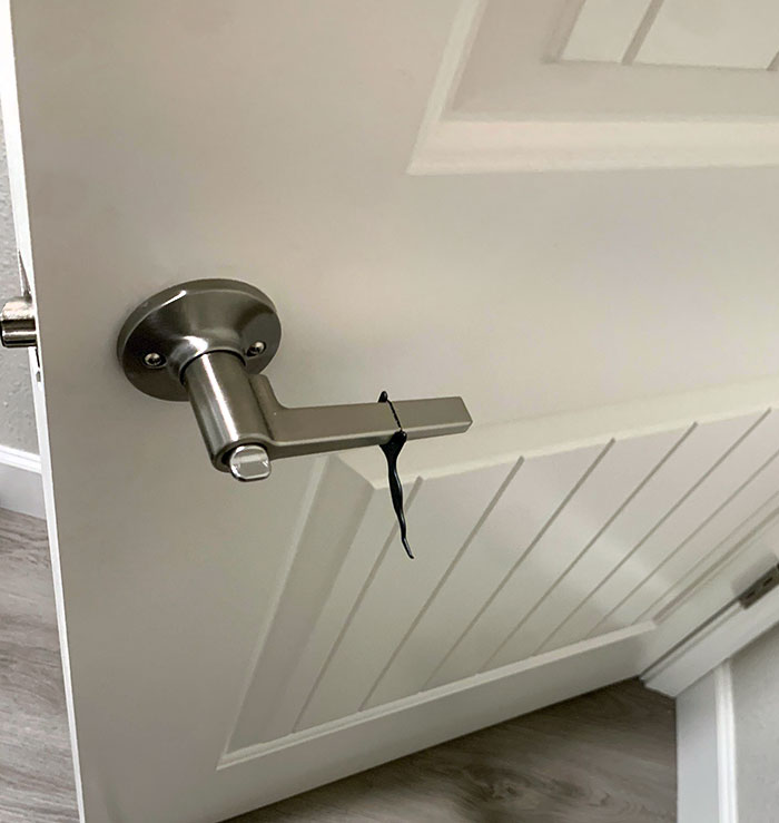 My Wife Leaves Her Used Floss There For The Next Day