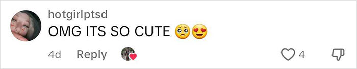 Woman Who Lives Surrounded By Alligator-Infested Waters Defends &ldquo;Peaceful&rdquo; Lifestyle